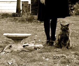 SANYO DIGITAL CAMERA